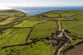 Image result for Wheal