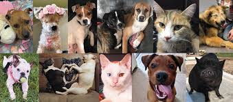 Maybe you would like to learn more about one of these? The Arrow Fund Home Facebook