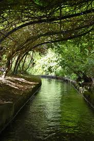 Le Jardin D Acclimatation En Ete Paris Paisajes Cascadas Turismo