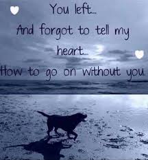 When We Lose A Pet Our Hearts Are Broken Pet Grief Dog Poems Animal Quotes