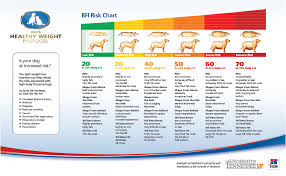 Healthy Dog Weight Chart Www Bedowntowndaytona Com