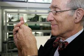 The Polly Hill Arboretum » Blog Archive » Global Environmental Threats