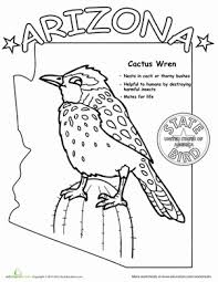 Its range includes the sonoran and chihuahuan deserts, and generally requires spiny cactus to nest in. Arizona State Bird Worksheet Education Com