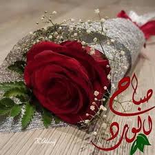 تــــواضــــــــــــــع كــالـــــــــــــــورد لان الورد من أجمل مافي الحياة فهو يح Good Morning Arabic Good Night Messages Good Morning Greetings