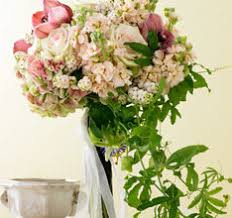 Top 10 rated fort worth florists. Floral Shops D Magazine Directories