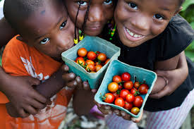East New York's Flourishing West Indian Gardens