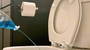 4 using a plumbing snake. How To Unclog A Toilet Without A Plunger Using This Ingenious Science Hack Cnet