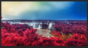 Disini saya menggunakan adobe photoshop cs3. Tutorial Photoshop Mudah Untuk Pemula Mengedit Foto Biasa Menjadi Infrared Umahliyu