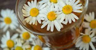 Maybe you would like to learn more about one of these? Bolehkah Ibu Hamil Minum Teh Chamomile Popmama Com