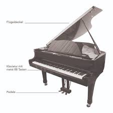 Das klavier ist wahrscheinlich das am häufigsten genutzte instrument unserer zeit. Musikinstrumente Igel Records