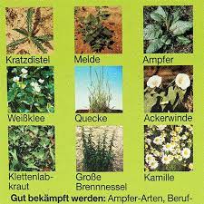 Bayer garten loredo quattro universal rasenunkrautfrei 250 ml. Bayer Keeper Unkrautfrei 30ml 5552 Kuf2502