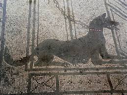 Mosaic Of A Watch Dog Roman Mosaic Art Roman Mosaic Pompeii And Herculaneum