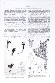 Image result for Pearsonia aristata