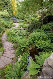 24 Woodland Garden Design Fancydecors Backyard Garden Landscape Sloped Garden Woodland Garden
