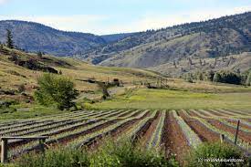Exploring The History Of Bc S Southern Interior At The Historic Hat Creek Ranch World Adventurists