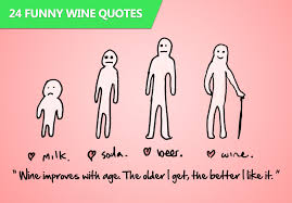 24 Funny Wine Quotes Wine Folly