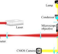 Schematic diagram of experimental apparatus. The ...