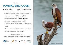 12th PONGAL BIRD COUNT 2026 Taste the sweetness of Pongal and enjoy with birds! FOR MORE DETAILS: https://birdcount.in/event/pongal-bird-count-2026-english/ Salem Ornithological Foundation. #pongal #pongal2026🌾🔥❤️ #pongalopongal #happypongal ...