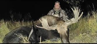 Profile for Ken Beatty