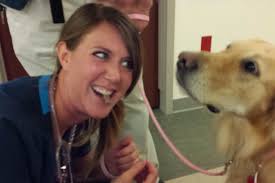 Fundraiser for Julie Dimaio by Mary Ross Chenery : Help for Julie