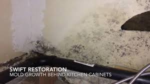 With enough relevant knowledge, you will know where to look for degrease kitchen cabinets and perform a thorough check of your food storage areas. Mold Growth Behind Kitchen Cabinets Youtube