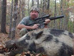 Typically you will have a choice from a rifle, assault rifle, pistol, or even a knife or spear. 14 Great Hog Hunting Rifles Handguns And Tactics