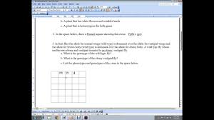 Ensure the details you fill in chapter 10: Dihybrid Cross Shortcut By Chemistry With Mike