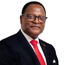Former President Peter Mutharika has this afternoon landed at Chileka  International Airport. The former President flew back