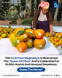 Image result for Tangerine 1971 Rootes