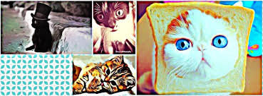 How to create your own custom color palette. New Feature Befunky Collage Maker Finally Learn Befunky