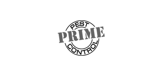 Find out why more than 5,500 people have chosen chemtec pest control over anyone else. Prime Pest Control Lr Tullius