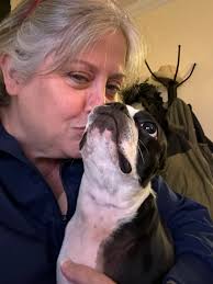 Happy Valentines Day from Cupid in Boston Terrier form🩷