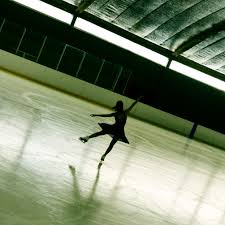 Image result for Isachne buettneri