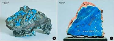 Image result for Blue Royal 1983 UMM