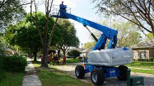 Lopez landscaping, cte tree, ct stump grinders, property detailers orlando, llc, yourtreeservices.com, llc. Jb Tree Care Florida Seminole County S Top Tree Service