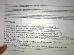 Generally, the transcription process transcribes dna into mrna, the type of rna that carries the information that is needed in the synthesis of proteins. Transcription And Translation Coloring Answer Key