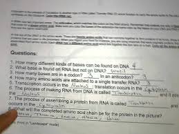 Transcription and translation practice worksheet example: Dna Coloring Transcription Translation Transcription And Translation Transcription Color Worksheets