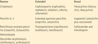 Image result for Extended Spectrum Penicillin