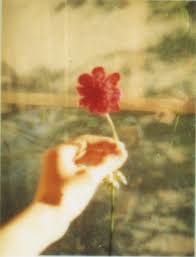 If you are the artist and don't want to use your own name, you can use me as the artist. Creativity In Crisis How Some Of Our Favorite Photographers And Visual Artists Are Coping In Quarantine Vogue