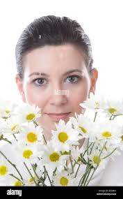 Photograph of a daisy hi-res stock photography and images