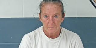 Woman arrested after striking two men with her vehicle