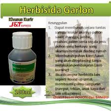 Agar pengendaliannya lebih mudah, maka para pemelihara lahan akan menyemprotkan racun rumput ini hingga mengena keseluruh permukaan rumput. Herbisida Racun Rumput Pohon Kayu Garlon 100ml Basmi Pohon Kayu Shopee Indonesia