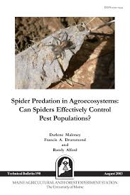 Are you looking to hire a pest control company for your pest invasion? Pdf Spider Predation In Agroecosystems Can Spiders Effectively Control Pest Populations