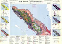 Malaysia bordering countries if you are interested in malaysia and the geography of asia our large laminated map of asia might be just what you need. The Soil Maps Of Asia Display Maps