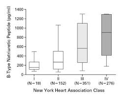 Rapid Measurement Of B Type Natriuretic Peptide In The