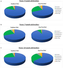 Iubesc si violetta, dar in comparatie cu acest film, soy luna e putin mai interesant. Frontiers The Effects Of Feeding A Soybean Based Or A Soy Free Diet On The Gut Microbiome Of Pasture Raised Chickens Throughout Their Lifecycle Sustainable Food Systems