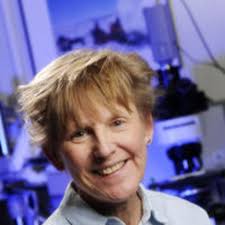 External vacuum gauge?