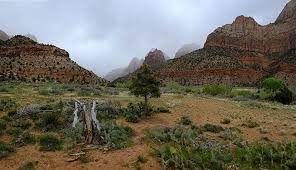 In summer, temperatures in zion national park often exceed 100°f/38°c. Seasonal Weather In Zion National Park