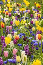 See reviews and photos of gardens in clarendon hills, illinois on tripadvisor. 22 Flowers Ideas Beautiful Gardens Dream Garden Cottage Garden