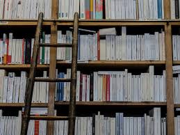 How liberals make it harder for blacks to succeed by jason l. Eighteen Great Books For Everyone To Read Lone Conservative